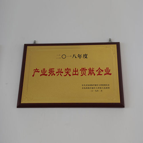 产业振兴突出贡献企业